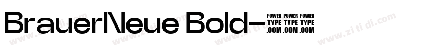 BrauerNeue Bold字体转换